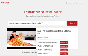 YtCanal interface showing video download options.