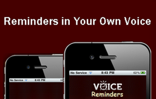 Voice Reminders screenshot 1