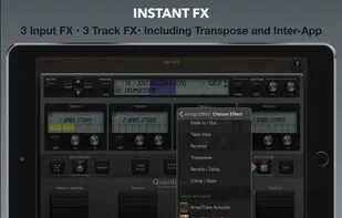 Quantiloop screenshot 2