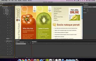 Adobe Edge Animate screenshot 1