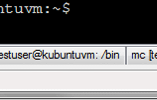 One SSH session - multiple tabs :no annoying multiple windows, no need to relogin, just open a new tab and go!
