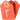 Ritt Icon