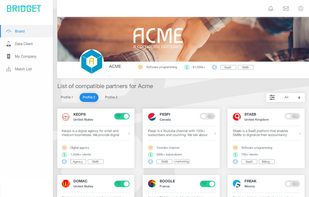 Bridget screenshot 1