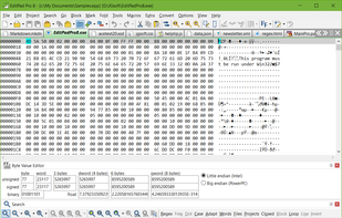 Editing a Binary File in EditPad Pro