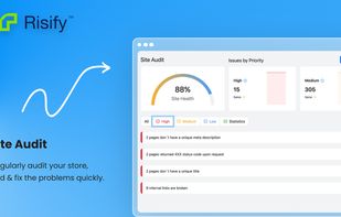 Risify's Site Audit Feature