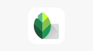 Snapseed receives long-awaited update from Google, but no new features image