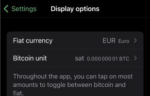 Phoenix Wallet screenshot 2
