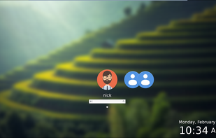 Enso OS screenshot 1