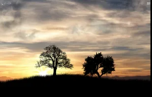 Sun Rise Live Wallpaper screenshot 1