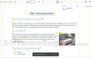PREP: Document Remediation Tool