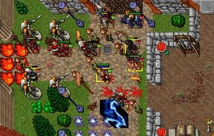 http://www.tibia.com/abouttibia/?subtopic=screenshots&currentscreenshot=35