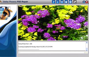 Stellar Phoenix PSD Repair screenshot 2
