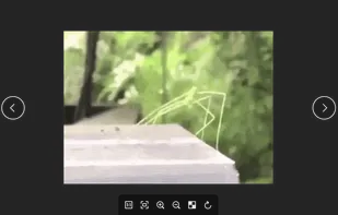 Regular main window.