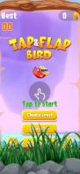 Tap Flap Bird Game