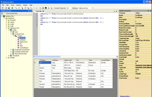 MyGeneration screenshot 1