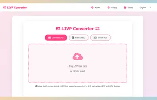 LIVP Converter screenshot 1