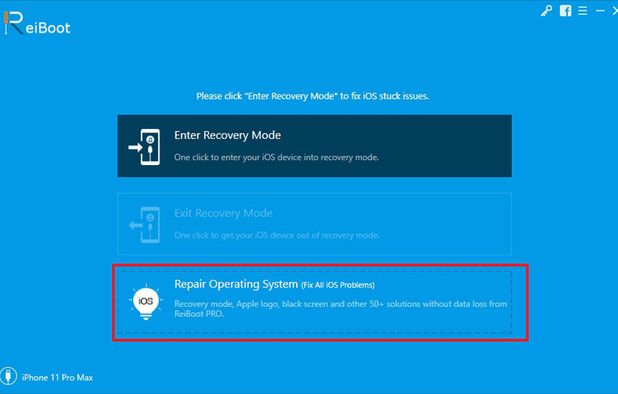 Tenorshare ReiBoot screenshot 1