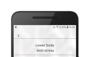 Sample custom workout
