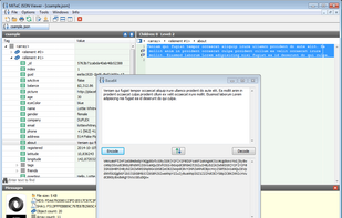 Base64 encoding/decoding