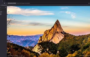 Pulse Browser screenshot 1