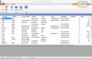 WinPure Clean & Match screenshot 2