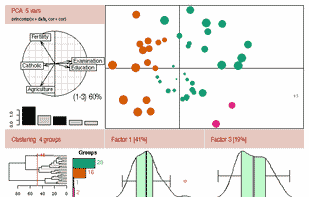 R (programming language) screenshot 1