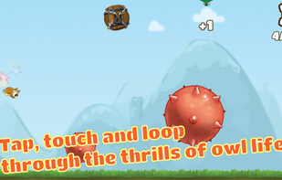 Awesome Owl screenshot 1