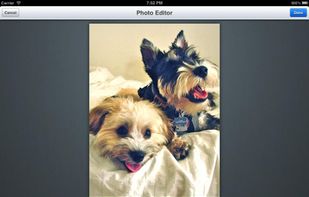Aviary Photo Editor screenshot 3