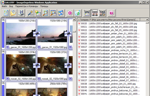 ImageDupeless screenshot 1