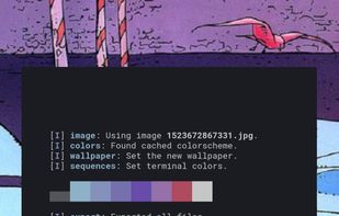 Pywal screenshot 1