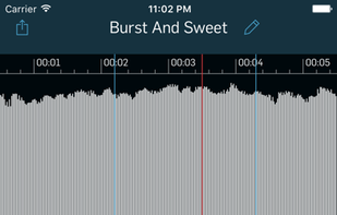 WireTap Riff Recorder screenshot 2