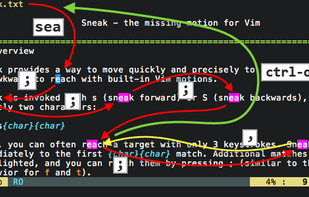 Vim Sneak screenshot 1