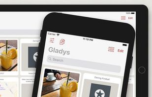 Gladys (Personal Assistant) screenshot 1