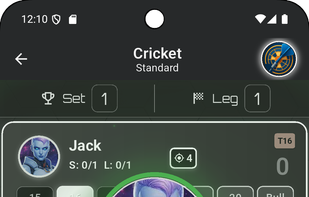 Cricket game interface with strategic scoring system. Clean, responsive design showing target numbers, hits, marks, and game progress for engaging cricket darts gameplay experience.