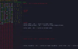Hex editor and viewer