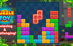 Puzzle Toy Relaxing and Challenging