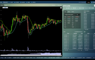 Coinigy screenshot 1