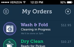 FlyCleaners screenshot 1