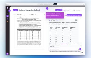 xPDF AI screenshot 2