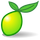 LimeSurvey Icon