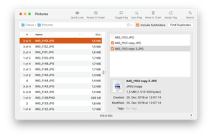 Duplicarius screenshot 1