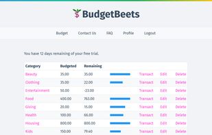 Budget categories overview