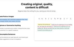 Bagel.ai features