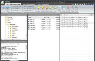 BatchRename screenshot 3