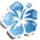Aloha Editor icon