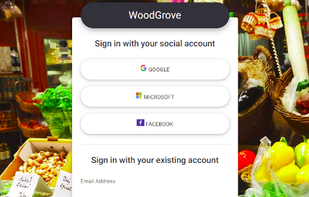 Azure Active Directory B2C screenshot 1