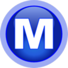 Microsoft Money icon