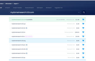 Dynadot screenshot 1