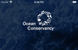 Clean Swell screenshot 1