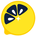 EasyVC icon